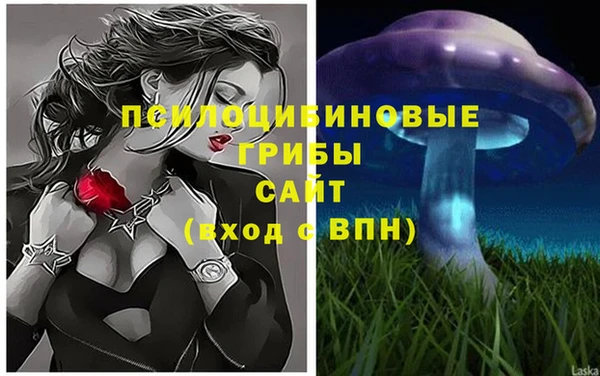 амф Навашино