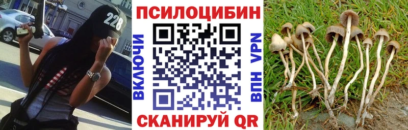 Псилоцибиновые грибы Psilocybine cubensis  Таганрог 